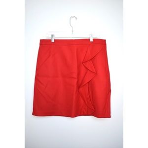 J. Crew Skirt